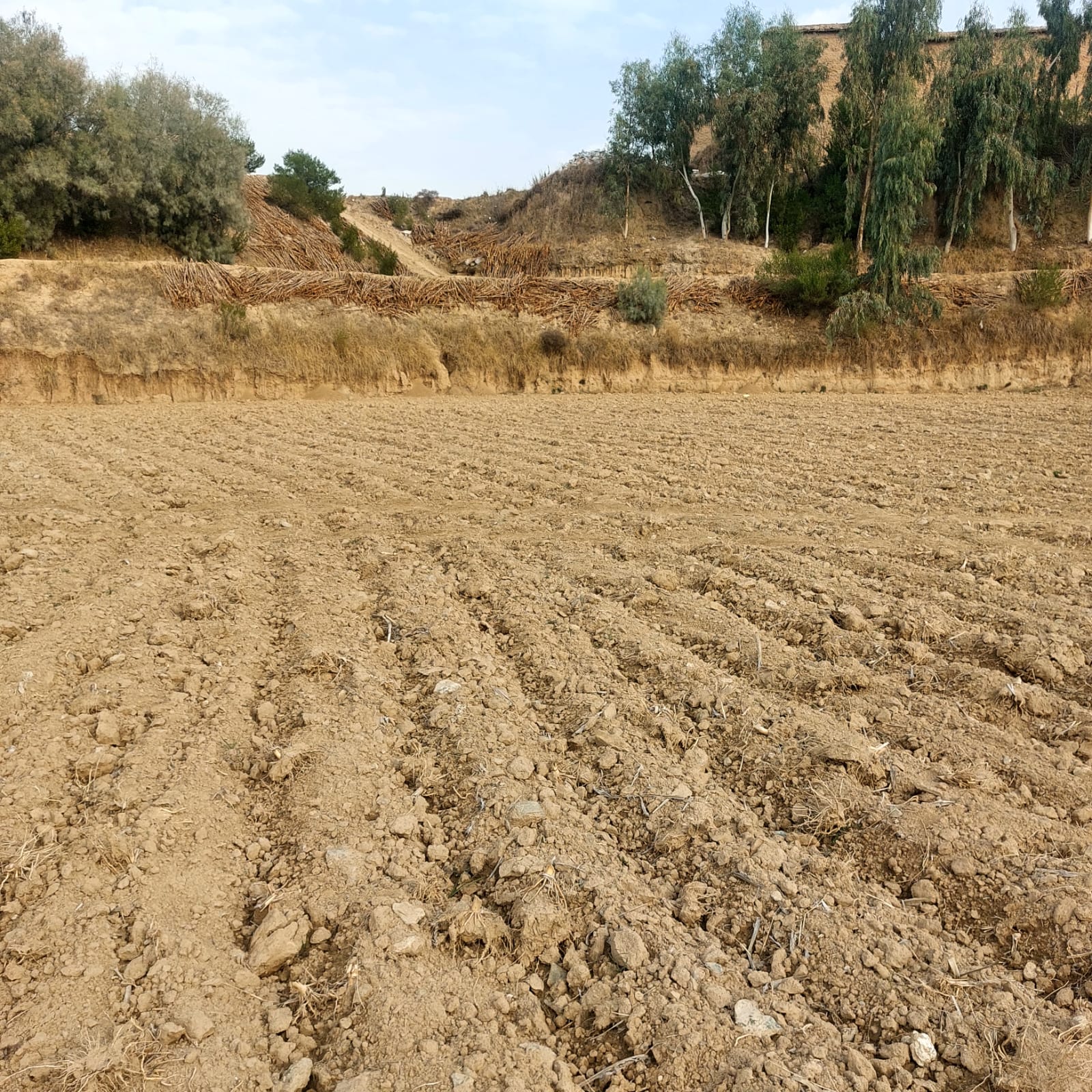 KP-RIISP project photo 41